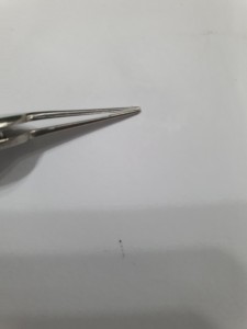 Pinzas de tejido Adson mini premium manuales de acero inoxidable 410 de 4 pulgadas - Product Image 5