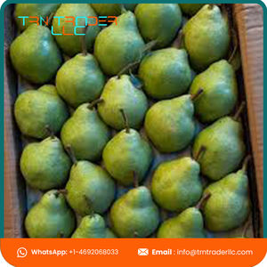 ผู้จัดจำหน่ายจากสหรัฐอเมริกา ลูกแพร์พันธุ์แพคแฮม ออร์แกนิค คุณภาพเยี่ยม รสหวานฉ่ำ กรอบ สำหรับผู้ซื้อขายส่ง - Product Image 6