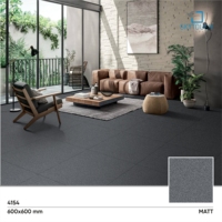 Nouveauté SKYTOUCH Modèle 4154 Carrelage de sol intérieur en porcelaine mate au design classique moderne, résistant aux acides et à l'usure, gris 600x600mm