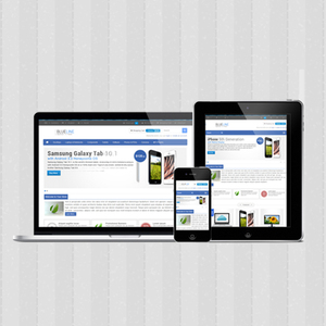 Entreprise de développement électronique de commerce électronique, pour l'europe du nord, Top leader dans le monde, pour services de développement - Product Image 4