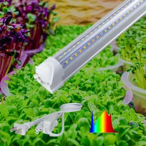 2021 d'intérieur hydroponique d'agriculture verticale a mené la lumière pour la fraise luttuce de champignon dragon fruits micogreens