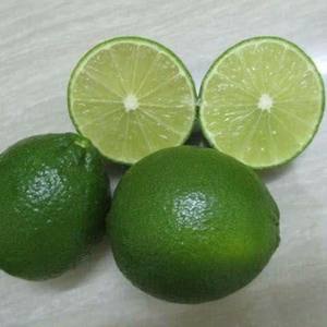 Common Green Limes entières fraîches sans pépins Grade 1 Certifié HACCP Boîte de 7kg - Product Image 4