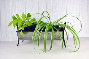 Plateau en fer galvanisé fait à la main avec poignée en fil métallique et base à pieds métalliques, vente au prix de gros - Product Image 3