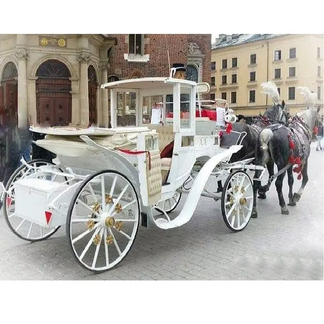 Carruaje de Turismo de caballo blanco, blanco, clásico, para turismo