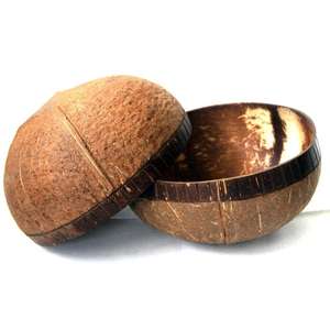 ECO2GO-cuenco de cáscara de coco hecho a mano, minicuchara hecha a mano, con logotipo personalizado, hecho en VIETNAM - Product Image 2