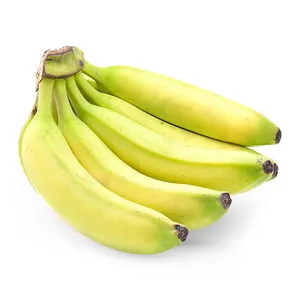 Viet Nam organic cavendish banana with EU exporrt - standard