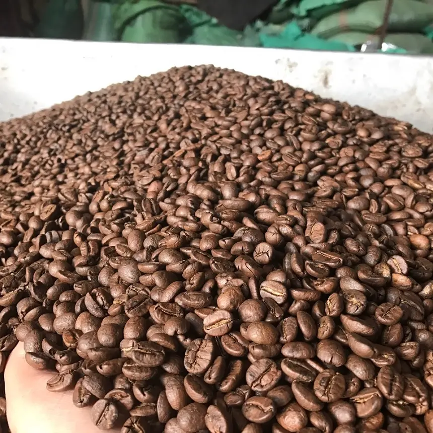 Granos de café tostados, alta calidad, ARABIA, ROBUSTA, ESPRESSO