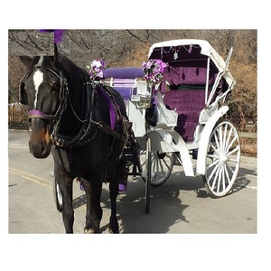 Coche de paseo de caballos de la Victoria, carro de la Victoria Heritage, blanco real, para bodas - Product Image 1