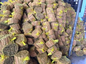 Alta calidad 8-10 cm nueva cosecha cigarro Cassia semilla seca cruda mejor precio Vietnam No.1 fabricante contacto Ruby + 84 359318390 - Product Image 5