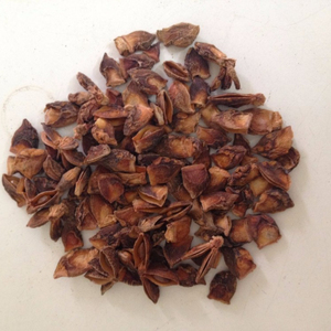 Nueva cosecha de anís estrellado roto de alta calidad de Vietnam, procesamiento de crudo seco súper barato Ms Laura Contact + 84 918 509 071 - Product Image 1