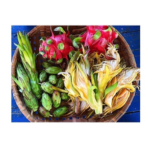 ที่ขายดีที่สุดแห้งมังกรผลไม้ดอกไม้ // ราเชล: + 84896436456 - Product Image 1