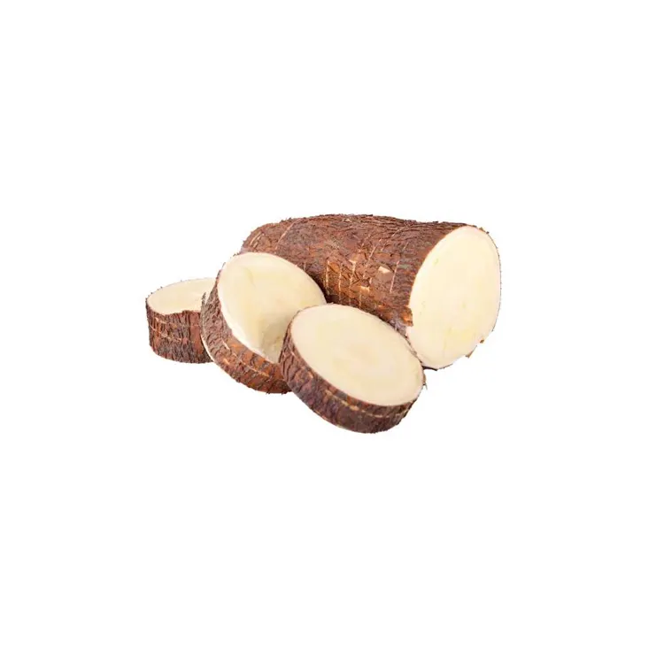 Cassava frais de qualité pour aliments, vente exceptionnelle, légumes, grande quantité, nouvelle collection