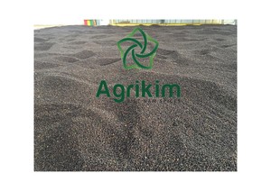 Pimienta Negra Seca de Vietnam de Todos los Grados, Procesamiento de Secado por Aire, Marca Agrikim, Precio - Product Image 4