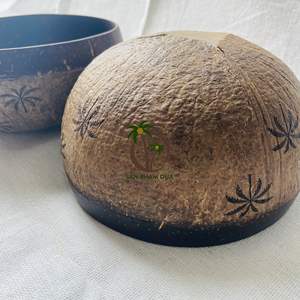 Bol en coquille de noix de coco avec joli bol et meilleur prix bol naturel DESIGN bol en noix de coco sculpté - Product Image 3