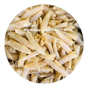 swim bladder supplier