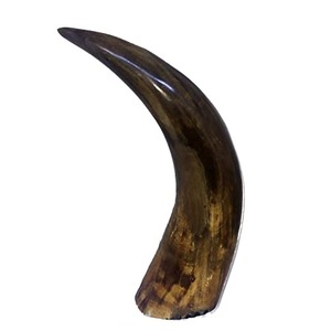 Corne décorative en forme de corne, style japonais, de grande taille, pour la maison et l'hôtel, produit en promotion - Product Image 3