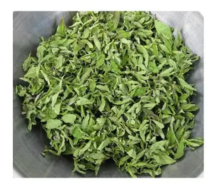 DRIED MINT LEAVES/ DRIED PEPPERMINT FOR ORGANIC TEA // Ms Laura +84 91 850 9071