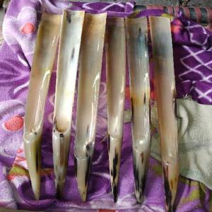 Hot Selling 17-Inch Brass Shoe Horn with Buffalo Horn End Tip Ox Horn Shoe <b>Helper</b> - Product Image 4