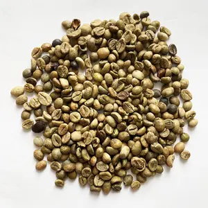 Tedarikçisi Vietnam robusta kahve çekirdeği vietnam yüksek kızartma yeşil kahve çekirdekleri enerji içecekleri zayıflama yeşil kahve