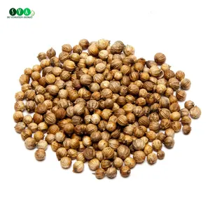 2022 New Arrival Available Pure Natural Organic Coriander Seed Essential Oil