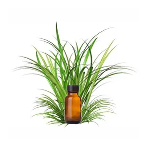 Huile Essentielle Pure à 100% de Haute Qualité, Marque Privée, Huile de Vétiver et d'Arbre à Thé Distillée à la Vapeur pour l'Aromathérapie et la Purification de l'Air Domestique - Product Image 1