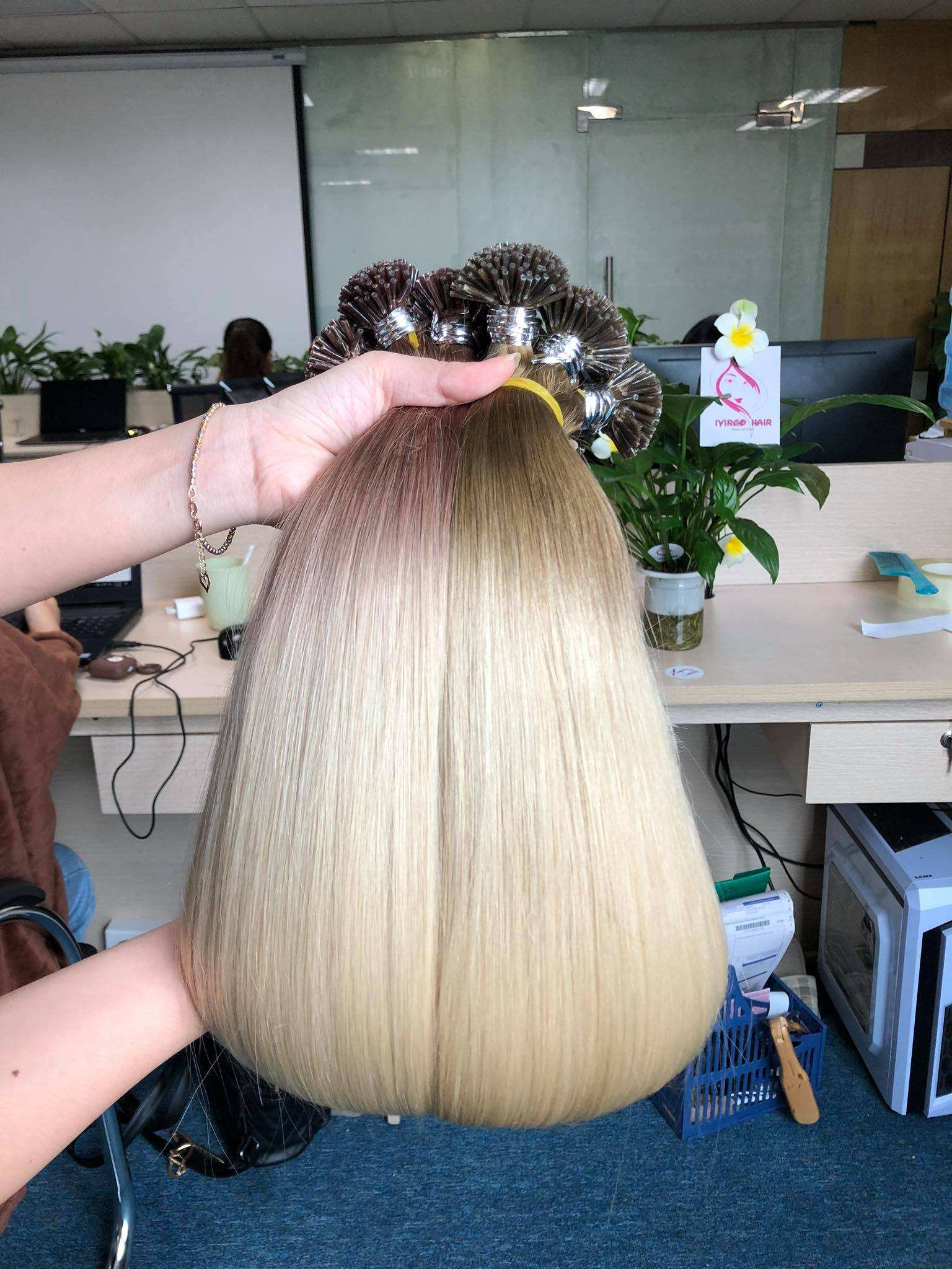 สีน้ำตาลและสีบลอนด์