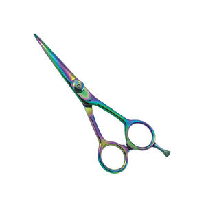 2025 Ciseaux/cisailles de beauté arc-en-ciel avec pointe tranchante et vis réglable - Product Image 6