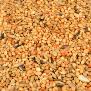 Comida para Pinzones Goldwings Classic European Finch, 400gr, Calidad Premium, 100% Natural, Ecológica, Alimento para Mascotas - Product Image 2