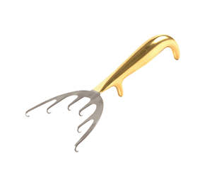 Crochets élévatrice en acier inoxydable approuvé CE, 6 dents, 21cm, avec moitié en or, 10 pièces - Product Image 1