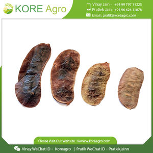 Hojas y vainas de senna 100% naturales, secadas al sol, de primera calidad. Compre en India a precio económico. - Product Image 5