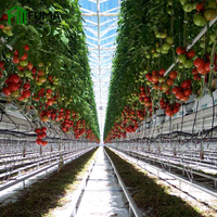 Nouvelle serre de pépinière FM avec système d'aéroponie et d'hydroponie, agriculture verticale, légumes, fruits, fleurs, micro-légumes