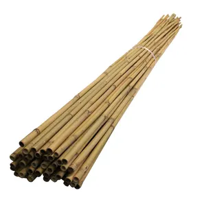 % 100% doğal malzeme bambu direk için özelleştirilmiş boyutu ile bahçe tesisi
