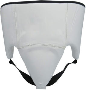 Protector de ingle para artes marciales, taekwondo, venta al por mayor - Product Image 1