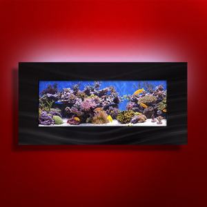 panoramic wall aquarium