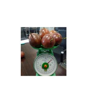 เสาวรสน้ำผลไม้เข้มข้น/ราคาที่ดีที่สุด - Product Image 1