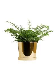 Florero decorativo de latón con acabado colorido, maceta para flores, decoración del hogar, precio al por mayor - Product Image 2