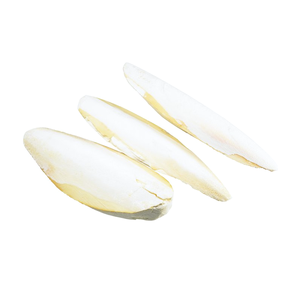 Precio Más Competitivo de Osito de Concha de Sepia de Vietnam al por Mayor, Hecho de Hueso de Sepia Natural - Product Image 2
