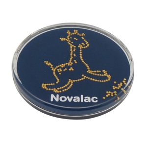 Logo personnalisé en plastique, logo médical imprimé, cadeaux promotionnels, personnalisé - Product Image 1