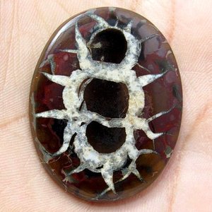 Cabujón liso de forma ovalada Natural de piedras preciosas sueltas septarianas de alta calidad para la fabricación de joyas - Product Image 4