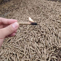 Vineyard Pruning Sawdust Pellet Making Machine Olive Pulp Alloy Steel/stainless for Biomass Wood Pellet Machine 1-1.5t/h 110kw