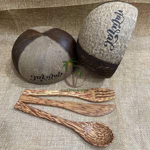 BOL EN COQUE DE NOIX DE COCO ET CUILLÈRE EN BOIS SET ACAI SMOOTHIE BOUDDHA BOL EN NOIX DE COCO FABRIQUÉ AU VIET NAM - Product Image 6