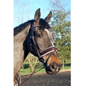 Bride de cheval en cuir rembourré blanc verni de haute qualité à la mode conception de muserolle à manivelle fabrication indienne prix de gros assurés - Product Image 1