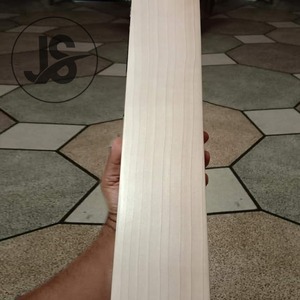 Cricket professionale della mazza dura del cricket dell'edizione del giocatore del grado 1 del salice inglese puro sul commercio all'ingrosso con il prezzo economico 2022 - Product Image 2