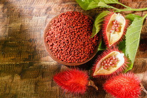 ขายส่งเมล็ดอันนาโตเวียดนามราคาถูก ผลผลิตใหม่ เมล็ดอันนาโตแห้งคุณค่าทางโภชนาการสูง พร้อมเครื่องเทศ/ชิน ทราน +84382089109 - Product Image 3