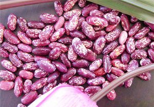 Uzuzek — haricots foncés de haute qualité, 8 pièces - Product Image 4