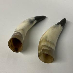 Corne décorative de buffle avec support et jante en acier corne décorative de meilleure qualité artisanale naturelle à vendre - Product Image 5