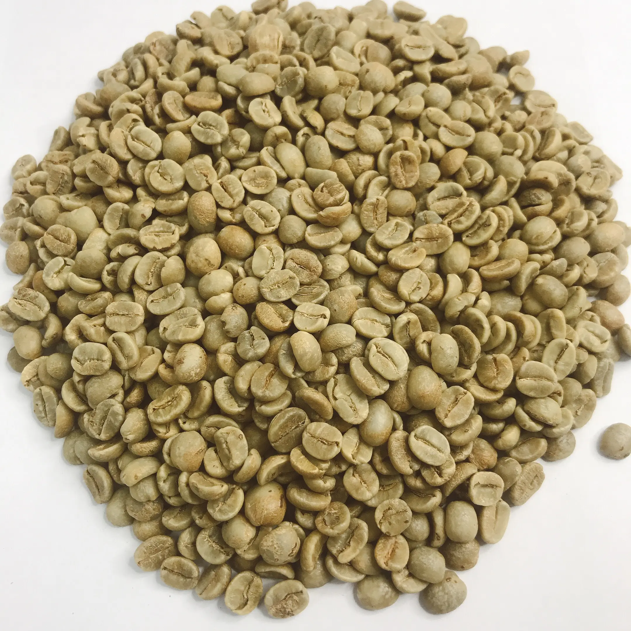 DETECH कॉफी प्रीमियम भुना हुआ कॉफी-हरी अरेबिका कॉफी बीन वियतनाम से उच्च गुणवत्ता 100% प्राकृतिक जहाज के लिए तैयार चारों ओर वें