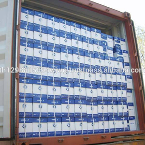 A4เอกสารสำหรับการขาย - Product Image 6