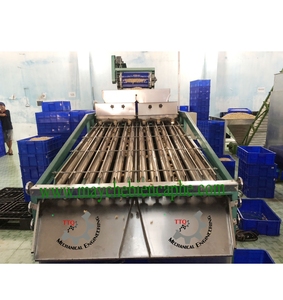 Vietnam's Selling Large Capacity 150kg Inputs/h Cashew Nut Classify Machine With Wholesale Price From Vietnam Factory in 2023 - Product Image 1