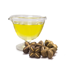 Prix bon marché Sachi huile origine Vietnam / 100% huile de Sacha Inchi pure de haute qualité/Shyn Tran - Product Image 1